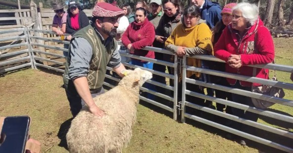 Productores de ovinos conocieron prácticas para adaptarse al cambio climático