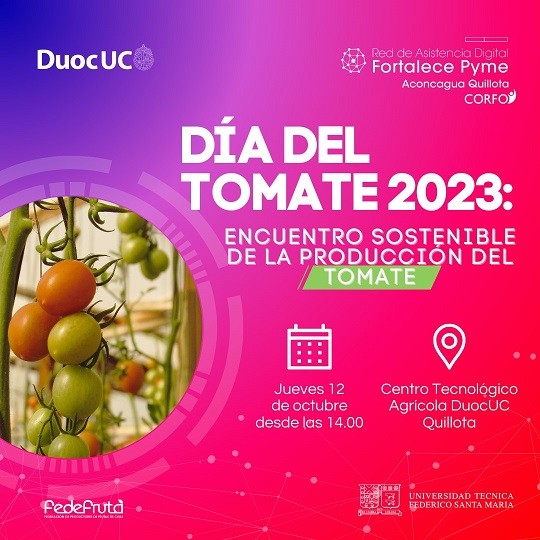 Octava versión del Día del Tomate en Quillota tendrá foco en la sostenibilidad en la producción del tomate