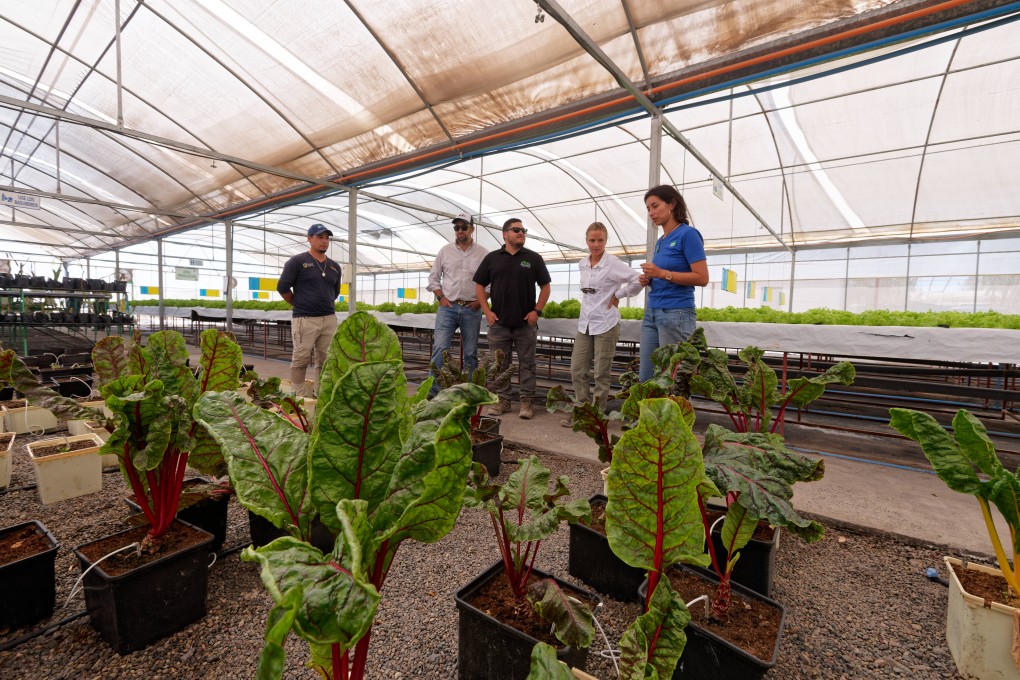 Agricultura en el Desierto: innovación y protección del planeta