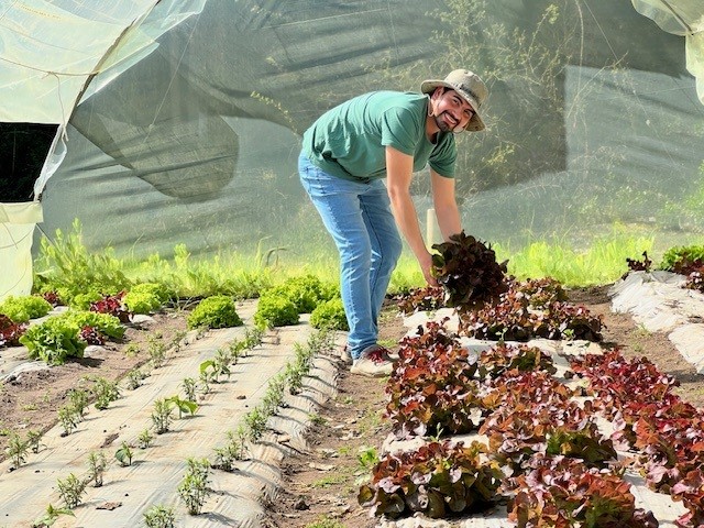 Joven emprendedor de Yumbel se posiciona en el mercado con sus flores y hortalizas
