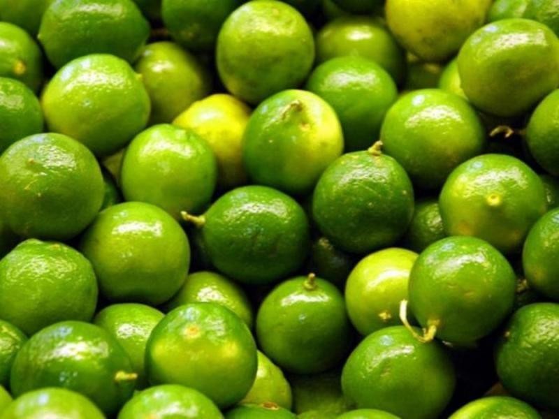 Perú exportó 1.733 toneladas de limones por US$ 2.2 millones en agosto de 2023