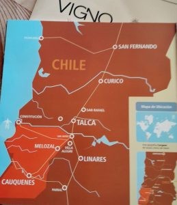 Consolidación de los Vignadores de Carignan resaltando el secano del Maule