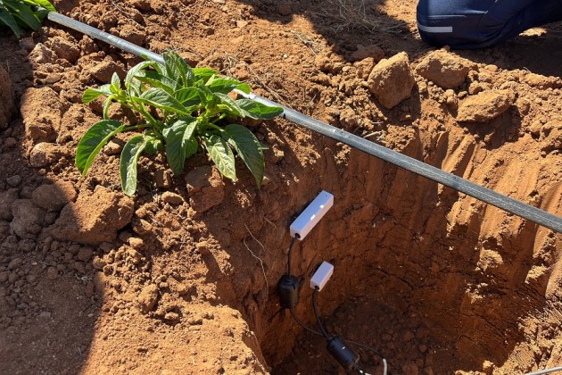 Pequeños hortaliceros de la región prueban nuevas tecnologías para enfrentar la falta de agua