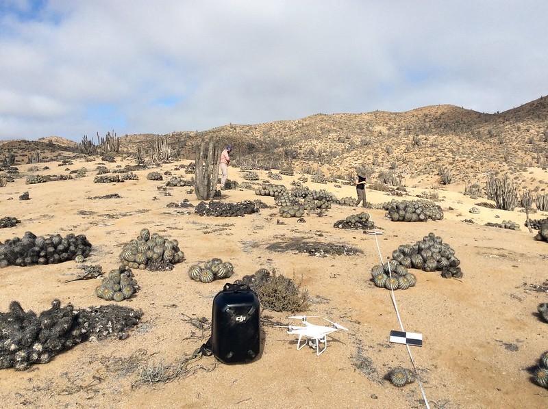 CONAF dio a conocer restricciones para uso de drones en áreas silvestres protegidas