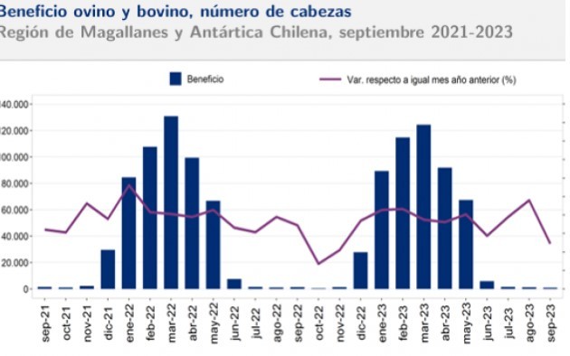 Actividad pecuaria sufre importante caída en septiembre: beneficio cayó 30%
