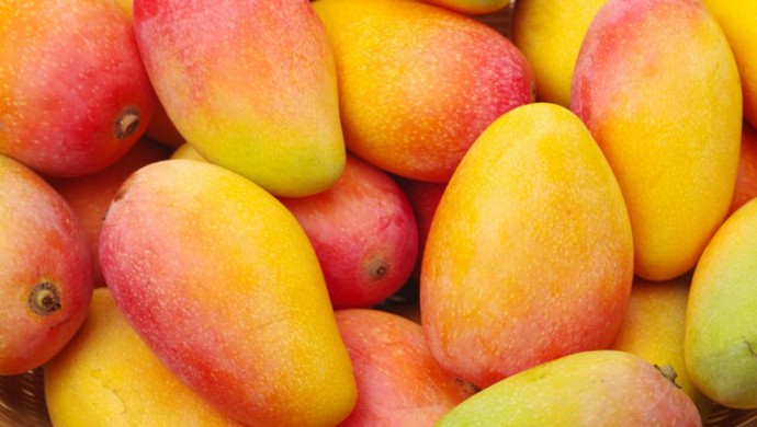 China abre mercado a mangos de Laos
