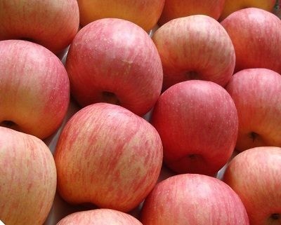 China da luz verde a las manzanas frescas de Serbia