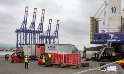 Exportaciones de bienes no tradicionales suman USD 37.230 millones y representan 46% de los envíos de Chile