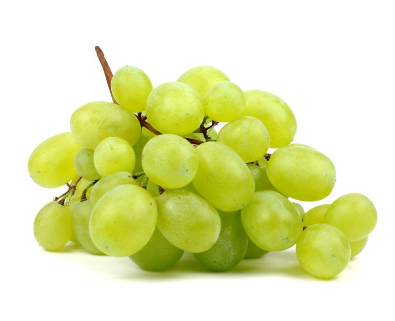 Provid: Exportaciones de uvas de mesa disminuirían 9% esta temporada
