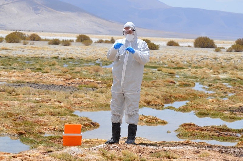 SAG redobla su vigilancia en la zona norte tras detección de caso positivo a influenza aviar en flamencos en Argentina
