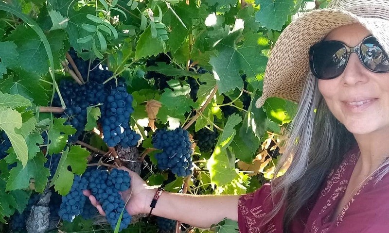De la provincia de Choapa al mundo: Vinos Wayra obtuvo dos medallas de oro en el Catad'Or Wine Awards