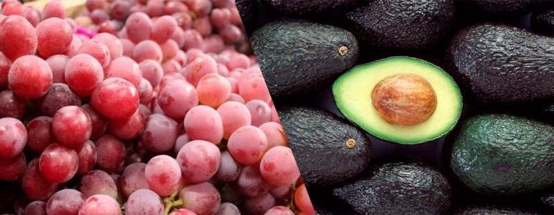 Palta, uva, espárrago, cacao y jengibre entre los principales productos de agroexportación con mejor desempeño entre enero y septiembre de 2023