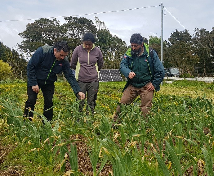 En Chiloé: SAG Los Lagos recuerda requisitos para la producción orgánica y para acceder a la certificación de productos bajo esta denominación