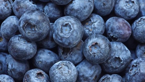 Senasa autoriza ingreso de 75,000 plantas de arándanos de origen chileno