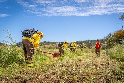 INDAP y Conaf te cuentan cinco medidas para prevenir los incendios en tu predio