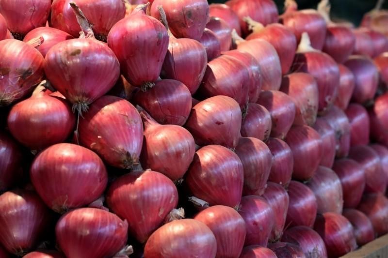 Exportaciones peruanas de cebolla fresca crecen en valor +0.54%, a pesar de que volumen cayó -13.1% entre enero y octubre de 2023