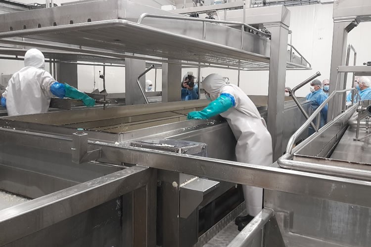 Elaboración de lácteos presenta un comportamiento mixto a septiembre
