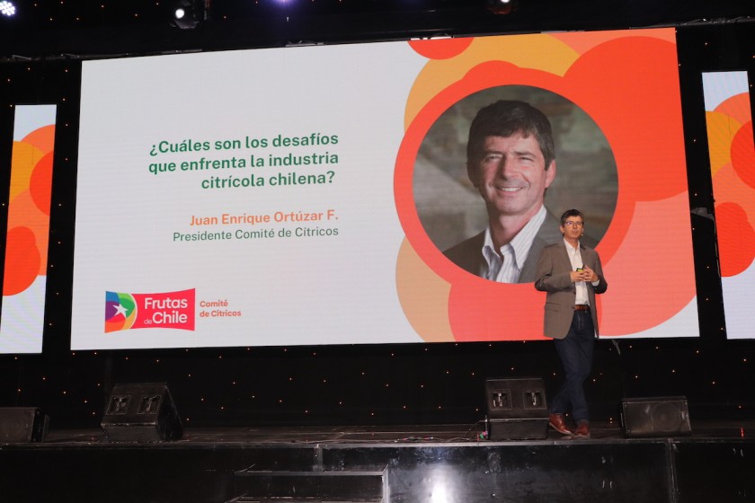 Mayor competencia y mejor productividad: Los principales desafíos de la industria de cítricos chilenos