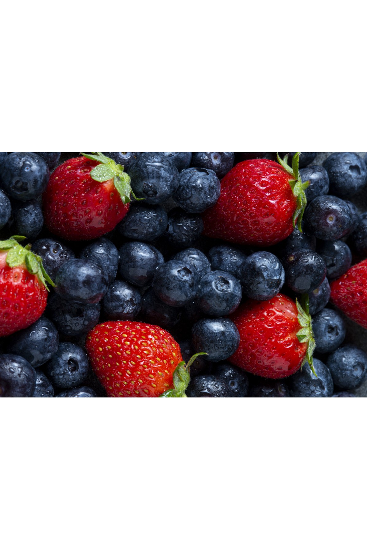 Nuevas variedades de fresas del USDA iluminan la temporada de cultivo