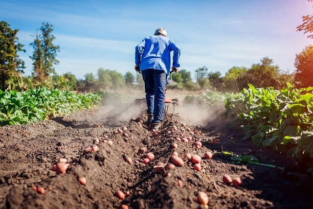Agronomía UdeC realizará seminario sobre sustentabilidad de los suelos frente al cambio climático