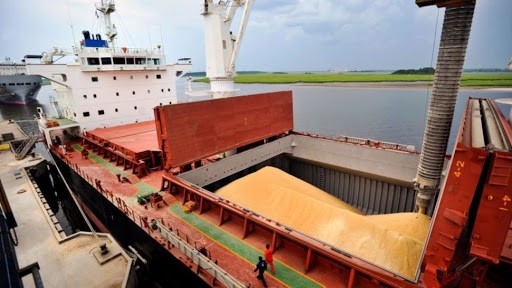 Argentina: Agroexportadores liquidan USD 1.003 millones en noviembre