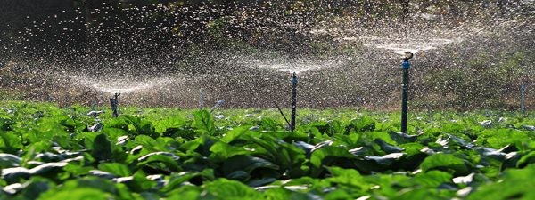 Ley que modifica la regulación de la recolección, reutilización y disposición de aguas grises para fomentar su reutilización en la agricultura, fue publicada en el Diario Oficial.