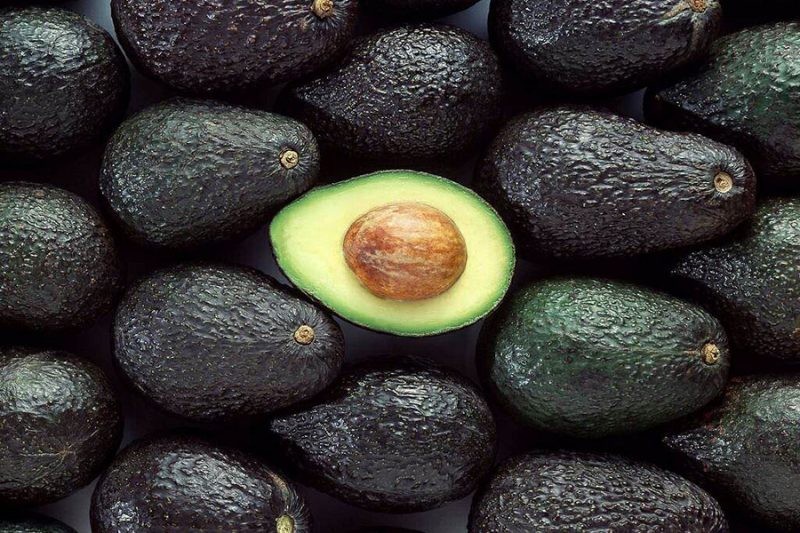 Comité de Paltas de Chile en Territorio Aguacate 2023: “Hoy somos un ejemplo para el resto de los productores en sostenibilidad”