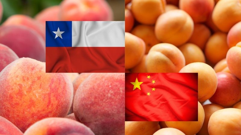 Ministro de Agricultura y Frutas de Chile celebran aprobación de la Aduana de China para dar comienzo a las exportaciones de duraznos y damascos de Chile