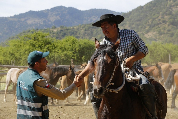 SAG llama a no adquirir de manera informal vacunas contra la Encefalomielitis Equina del Oeste