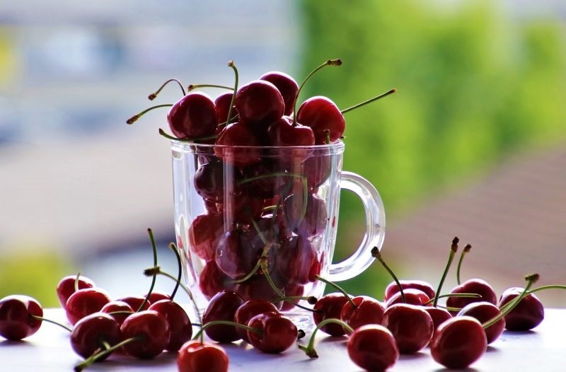 Exportaciones de cerezas argentinas llegarán a más de 6.000 toneladas en actual campaña