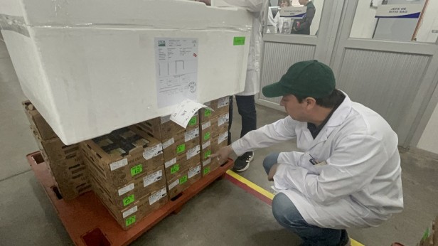 En el Sitio SAG / USDA – APHIS / Frutas de Chile de Cabrero: Comenzó nueva temporada de inspección de fruta fresca con destino a EE.UU