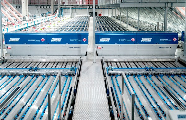 Chile se enfrenta a una difícil campaña de cereza con la ayuda de UNITEC