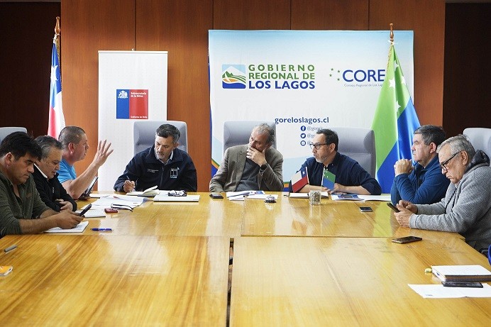 Pesca artesanal: problema del lobo marino es principal desafío del sector demersal en la región de Los Lagos