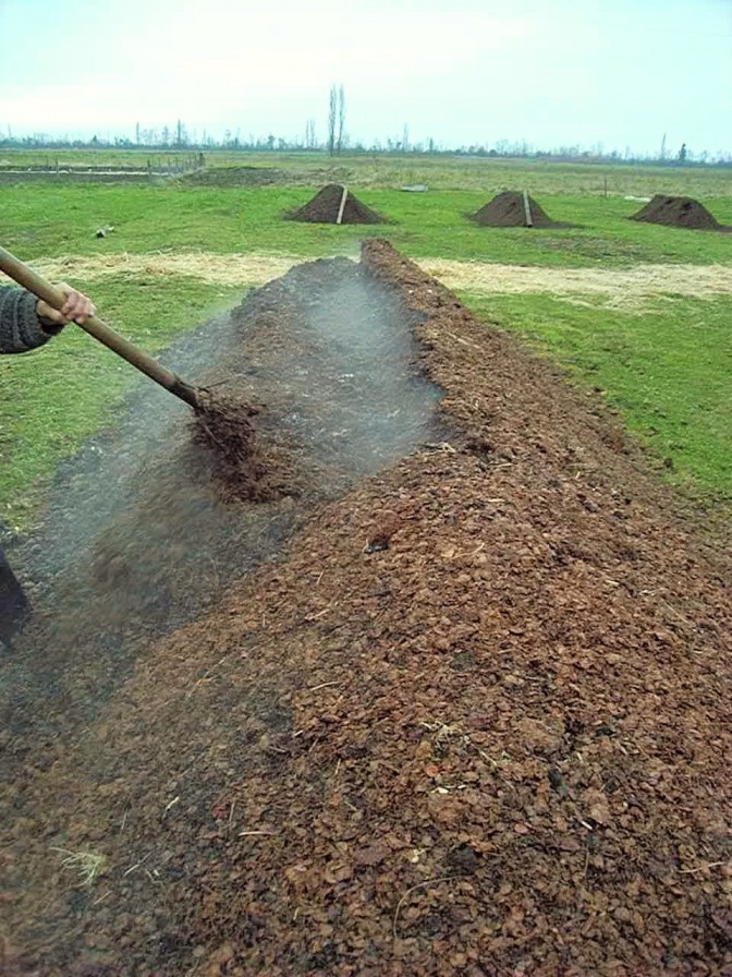 En Ñuble, Biobío y La Araucanía Se inicia programa que promueve reutilización de residuos agrícolas