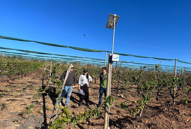 Productores agrícolas comparten estrategias para salir adelante en un escenario de escasez hídrica