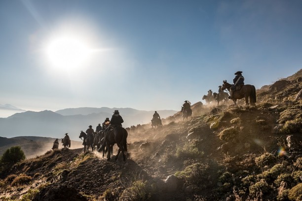 Proyecto buscó rescatar herencia cultural de arrieros de O’Higgins, embestidos por cambio climático y el olvido