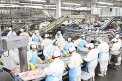 Producción de carne cae 2,2% en período enero octubre 2023