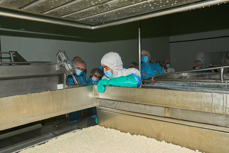 Elaboración de productos lácteos cae en general al mes de octubre