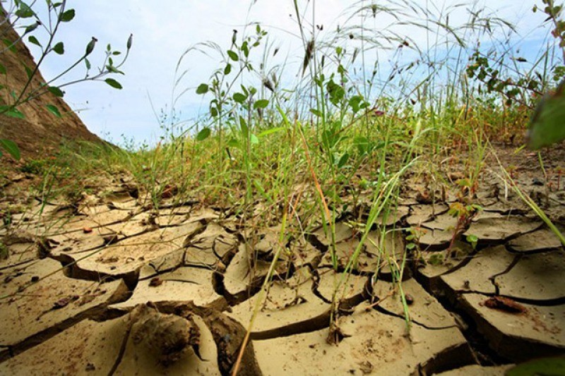 Ministerio de Agricultura extiende declaración de emergencia agrícola por déficit hídrico en 13 regiones del país para 2024
