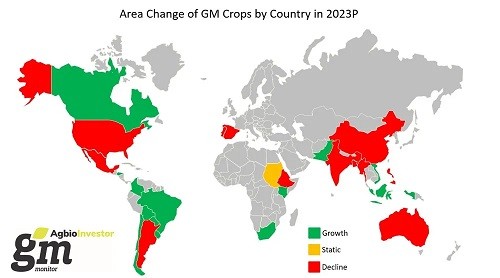 Los cultivos transgénicos lograron un nuevo récord de superficie global en 2023