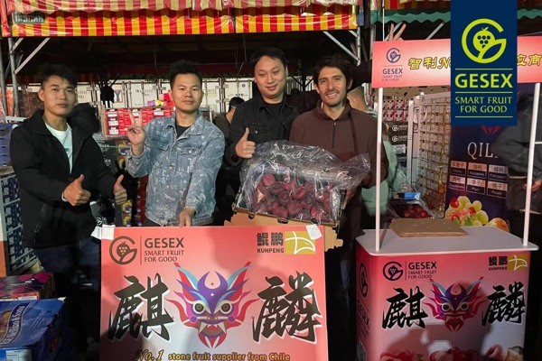 Fruit Color China: Los primeros duraznos chilenos tienen una alta demanda en el mercado chino