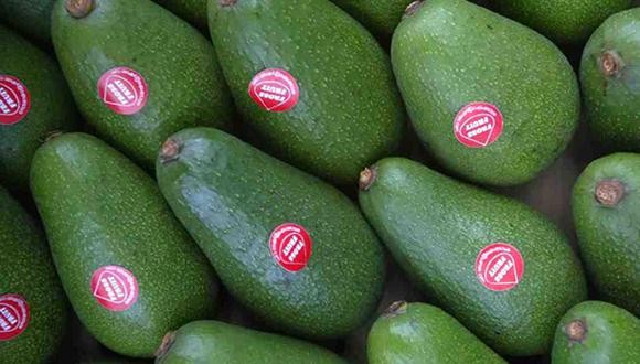 Perú: Exportadores de palta apuntan a que EE.UU. reciba 25% de los despachos