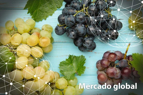 Resumen del mercado global de la uva