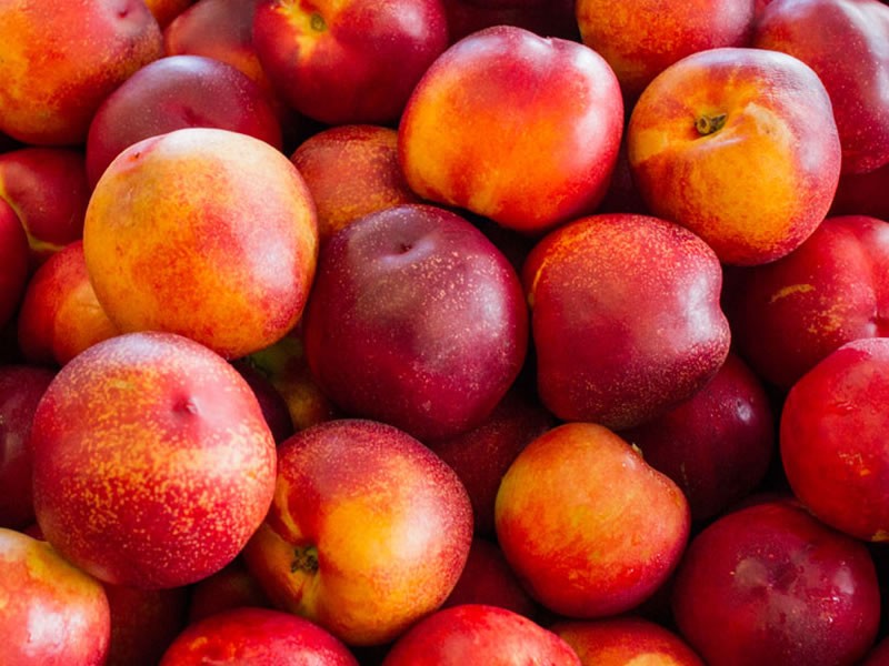 Sudáfrica: Proyectan alza de envíos de nectarines pero bajas en otros carozos