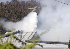Superficie con vegetación natural afectada por incendios forestales tuvo una variación del 156% entre las dos últimas temporadas
