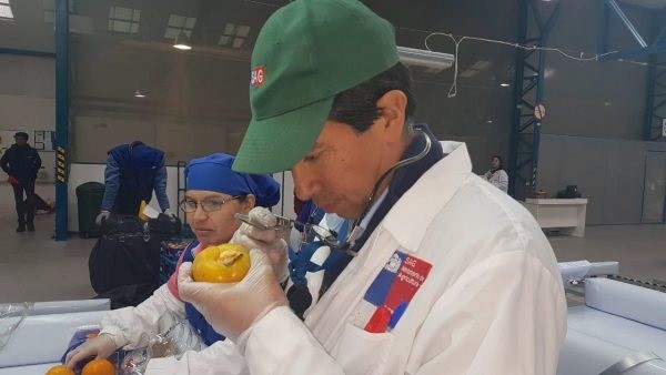 SAG, USDA-APHIS y Frutas de Chile ponen en marcha nuevo sistema de agendamiento para el Programa Tripartito de Preembarque, para las exportaciones a USA