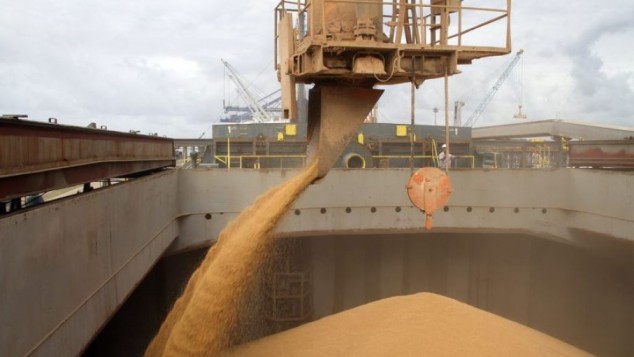 USDA elevó el pronóstico de producción de soja de Paraguay