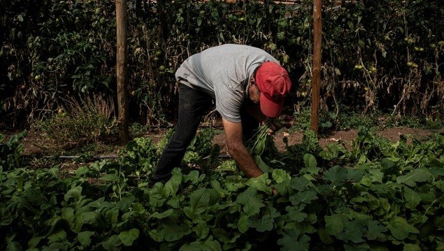 Comisión Nacional de Riego: “El 70% del agua dulce está destinada para la agricultura”