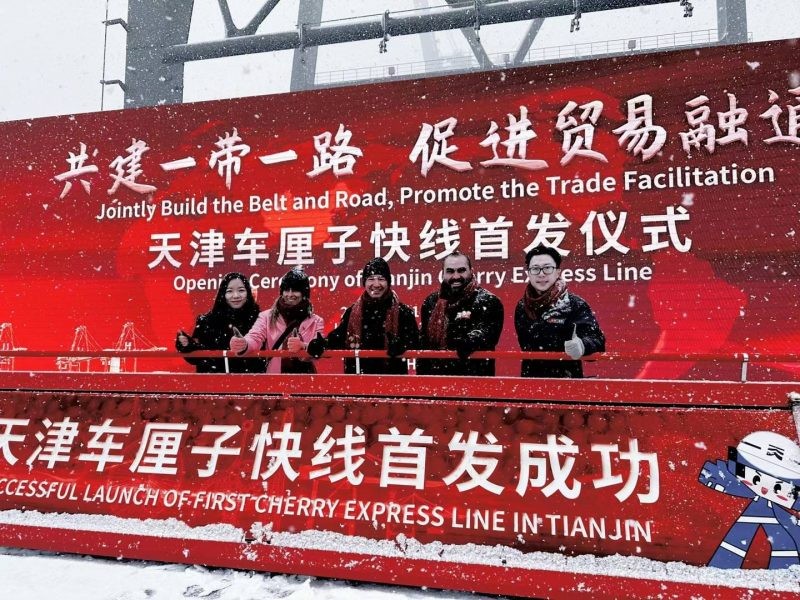 Cerezas chilenas celebran nueva ruta de ingreso en China: Por primera vez llegan a puerto de Tianjin