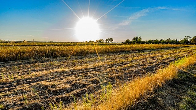 Por temperaturas extremas que afectarán a siete regiones del país: Minagri llama a no realizar actividades agrícolas y forestales